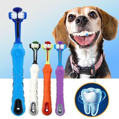 Köpek – Köpek bakım ürünleri