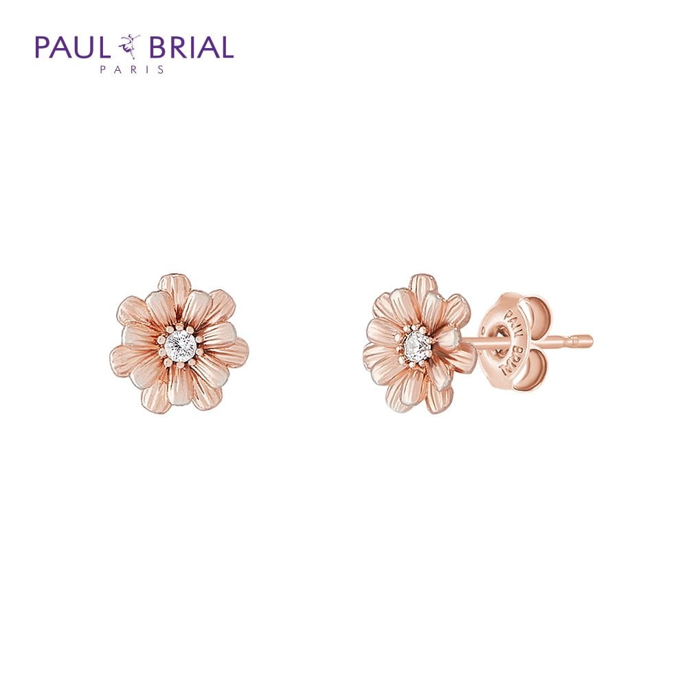 Paul Brial [Silver] Pgse0141 Cineraria Earrings