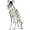 Scary Sitting Dog Skeleton Spooky Halloween Skeleton New Dog Skeleton  for Home Party Haunted House