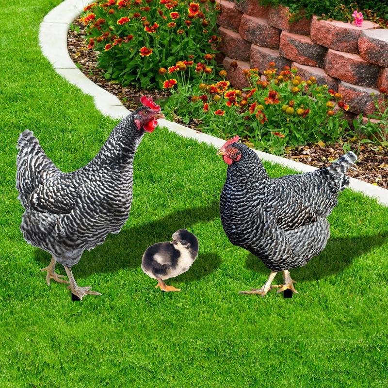 Chicken Garden Stakes Acrylic Yard Signs Outdoor Sculpture Statue Potted Plant Ornaments Garden Insert Yard Lawn Decor