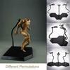 Dynamic Base Stand For Hot Toys And Phicen 12'' Action Figure Display Collectibles