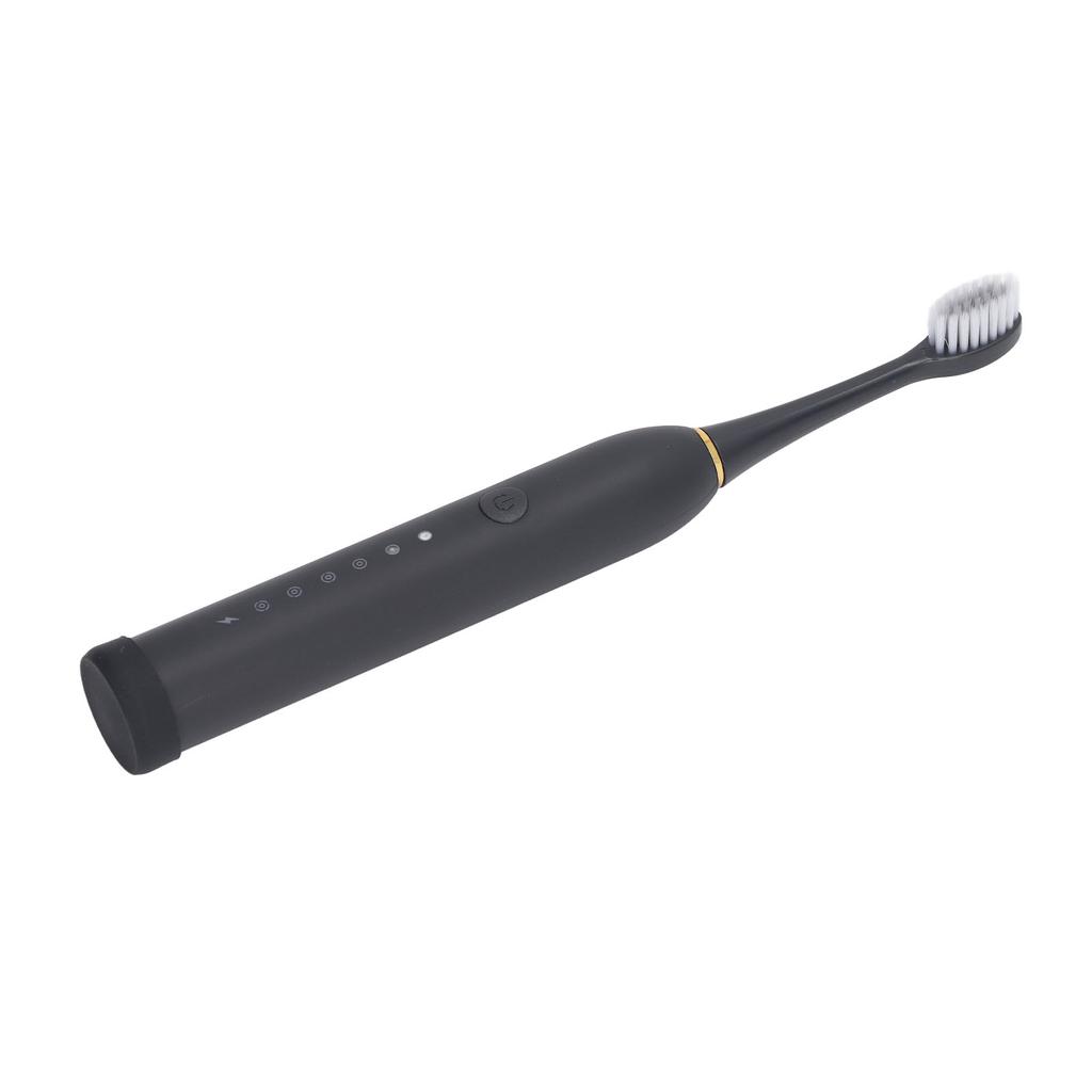 Electric Toothbrush IPX7 Waterproof 6 Modes Rechargeable Automatic Tooth Brush with 4 Heads Black