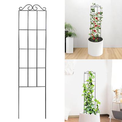 Kovová zahradní mříž pro popínavé rostliny Rám mříže Dekorativní podpůrný rám pro rostliny pro plaménky, růže, venkovní, vnitřní použití