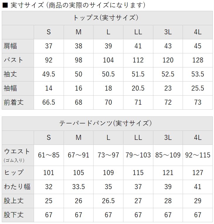 Suit Casual Office Smart Casual Plus Sizes Navy LL [Addrouge] Women's Set, Pants, Wear, Set, [t5314]