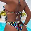 11 Years of New Triangle Cup Fashionable Design Colorful Printing Sexy Summer European and American Ins Niche Bikini