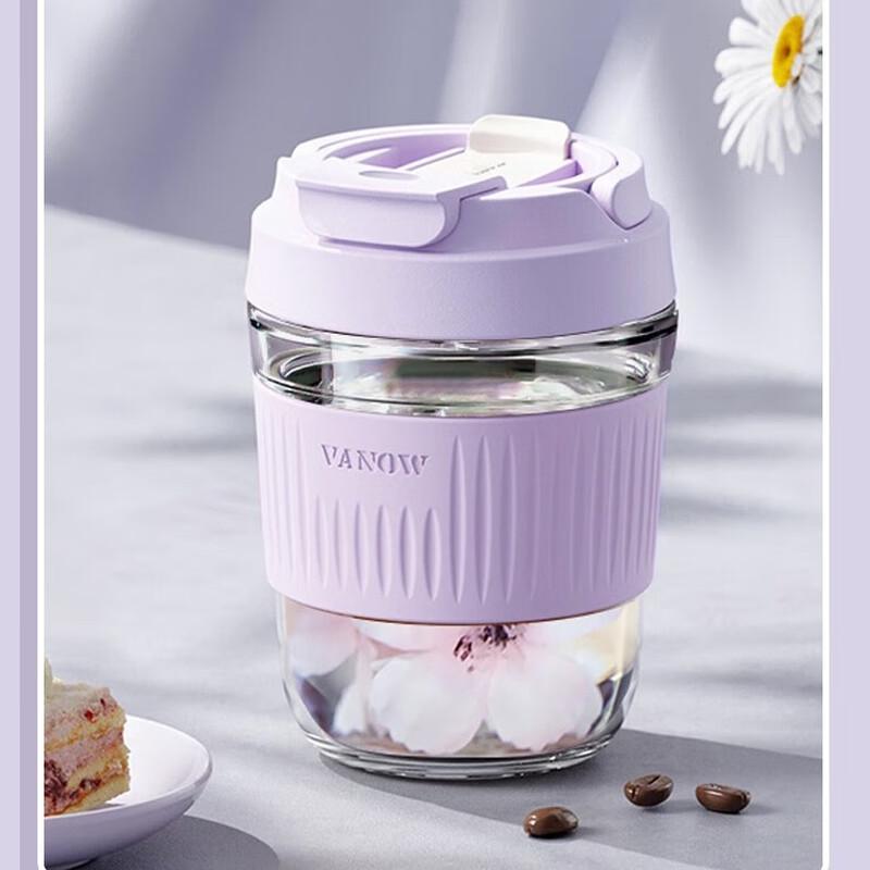 Vanow Borosilicate Glass Tumbler with Straw