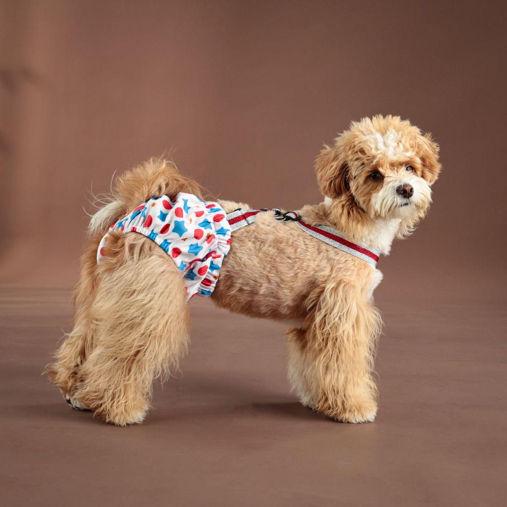 Large Dog Physiological Safety Suspenders - Female Dog Menstrual Anti-Harassment Pants