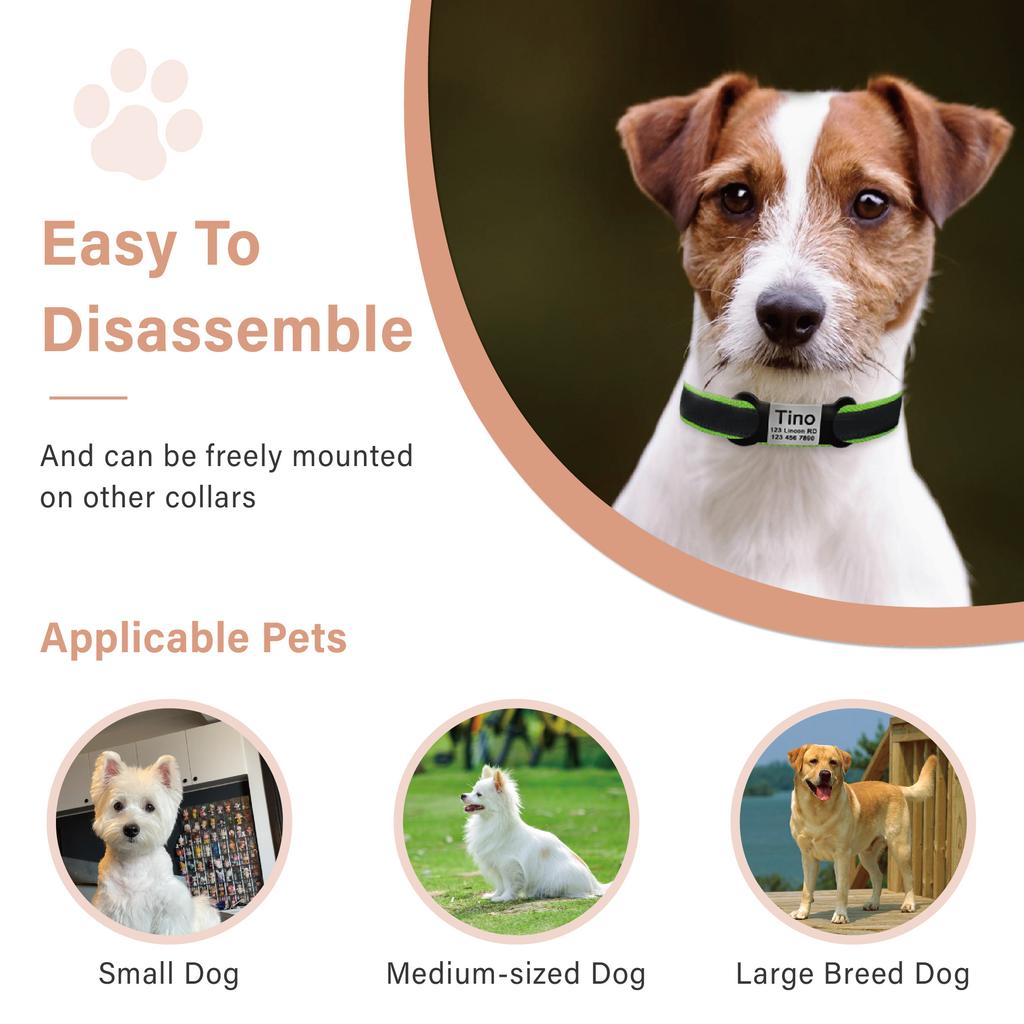 Nameplate Engraved Id Tag Dog Cat Collar Stainless Personalized Silicone Customize Anti-lost Accessory