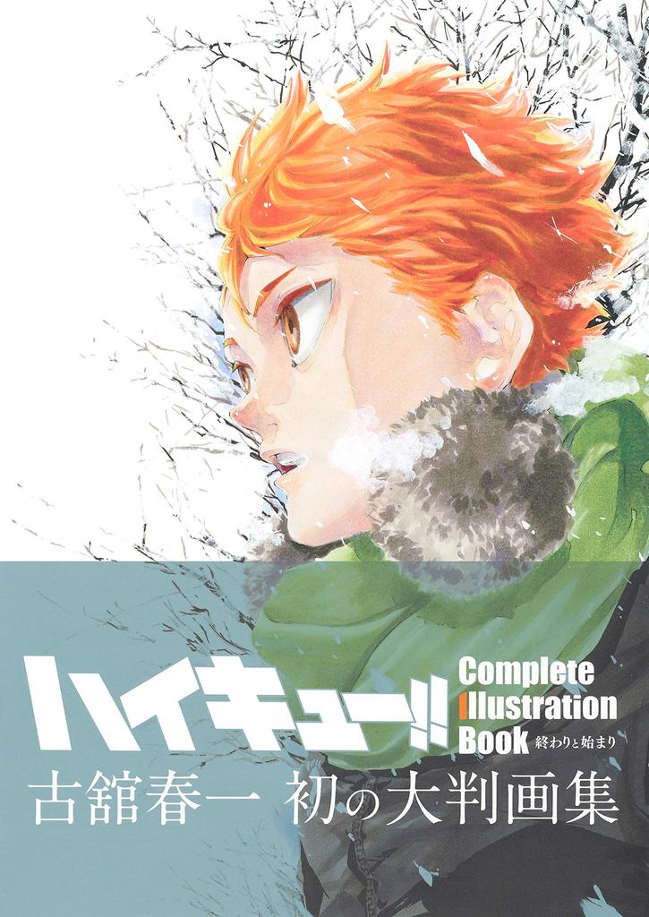 Complete Illustration The End and the Beginning Edition Haikyu!! Book (Collector's Comics)
