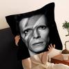 Hot Singer D-David B-Bowie pillow cover sofa cushion cover home room decoration children gift