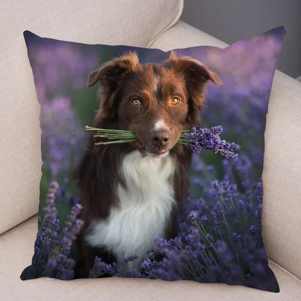 Cute Pet Animal  Cushion Cover Scotland Border Collie Pillowcase for Sofa Car Decor Dog Printed Soft Plush Pillow Case