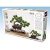 Platz 1/12 The Bonsai 1 Plastic Model BON-01 Pre-Colored Medium Size