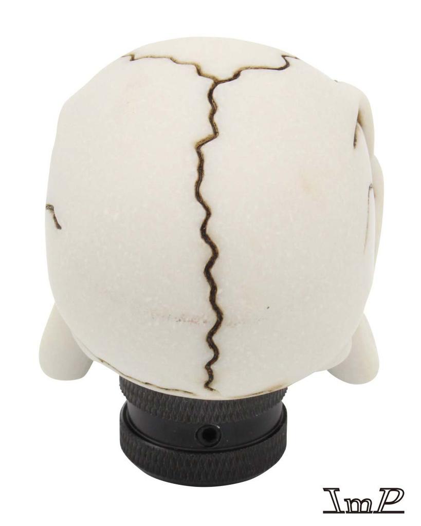 Funky Shift Knob Skull Bone Color
