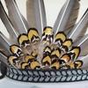 Indian Feather Headdress Props Fancy Dress Headwear for Birthday Gift Stage Show