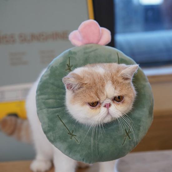 Cat Recovery Collar Super Soft Wear Resistant Nylon Cat Wound Healing Protective