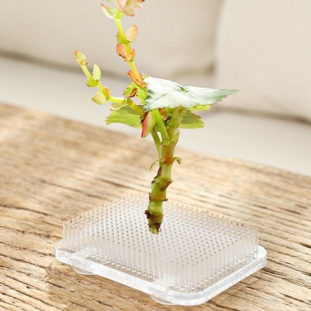 Round Flower Arranger Rectangle Pin Frog Holder Creative Fixed Arranging Tool Flower Arranging