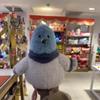 23cm Parrot Fat Pigeon Fat Robin Bird Plush Children Toy Fun Soothing Doll Pet Companion Birthday Gift Plush Toy