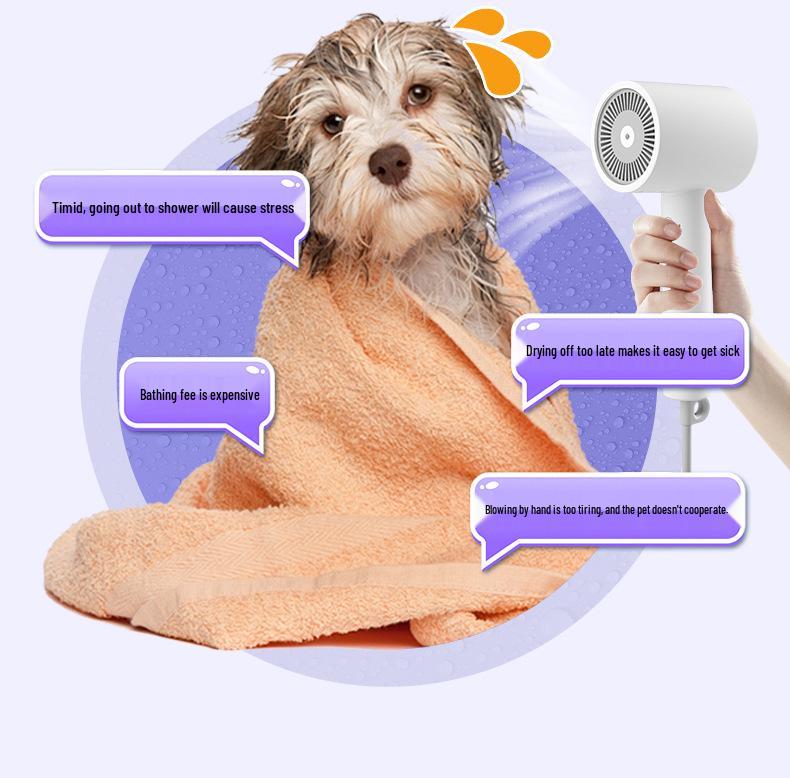 Smart Silent Pet Dryer: Automatic, Large-Capacity Hair Drying Box for Dogs and Cats