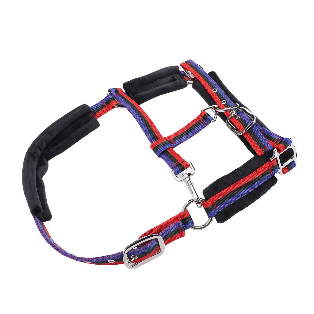 Horse   Wrproof Nylon Comfortable   Chin and Throat Snap   for Training Equestrian