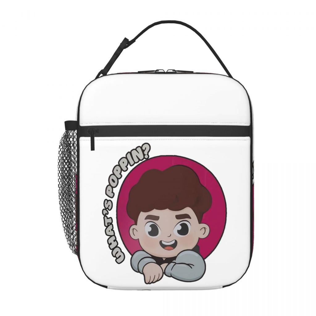 Caylus Insulated Lunch Bag for Women Kids Portable Food Boxes Thermal Lunch Box Tote