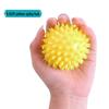 Hedgehog Spiky Grip Ball Set for Hand Rehabilitation and Stress Relief