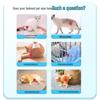 Padino Cranberry Urinary Tract Supplement for Cats and Dogs