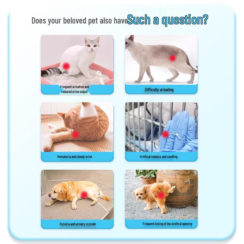 Padino Cranberry Urinary Tract Supplement for Cats and Dogs