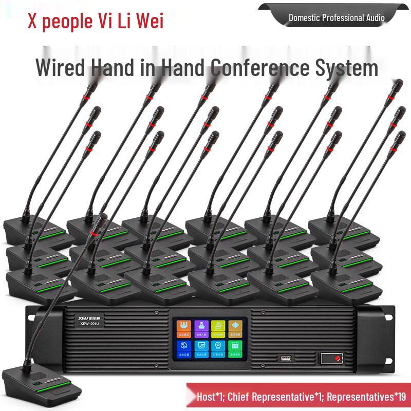 XEW-201 Wired Hand-in-Hand Conference Microphone System (CN Version)