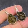 Natural Ammonite Fossil Gemstone Handmade 925 Sterling Silver Earring 1.58" t4L46