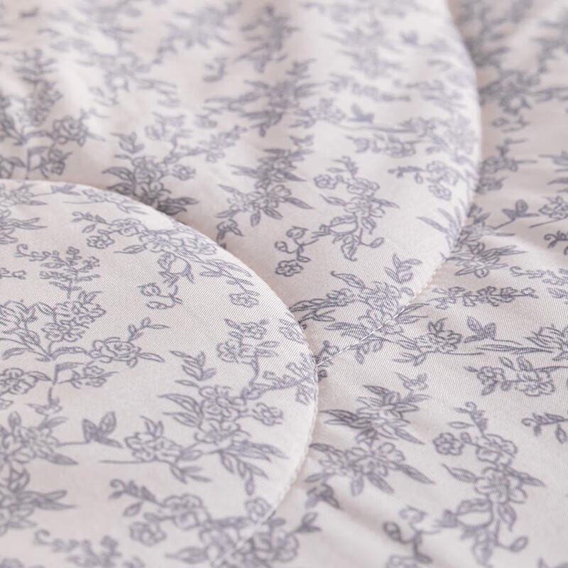 Hengyuanxiang TSB2059 Striped Floral Summer Quilt