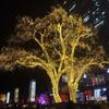 Outdoor Colorful LED String Lights - Copper Wire, Star-Filled Christmas Courtyard Decoration