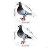 2 Pieces Realistic Foam Bird Statuette Ornament Simulated Detailed Educational Decoration Suitable