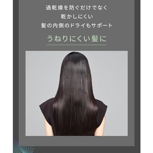 SALONIA Air Treatment Dryer Large Air Volume Quick Drying Lightweight Hair Dryer Stone Gray [.co.jp Exclusive]