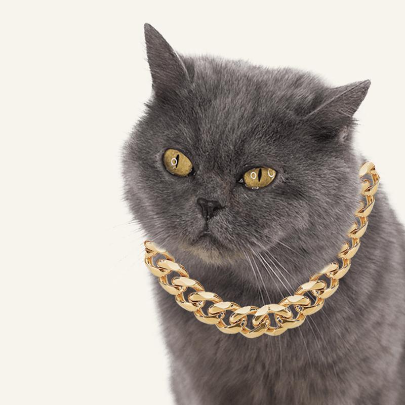 Pet Dog Bully Gold Chain Small And Medium-Sized Dog Collar Pet Necklace Jewelry Pet Supplies Dog Necklace