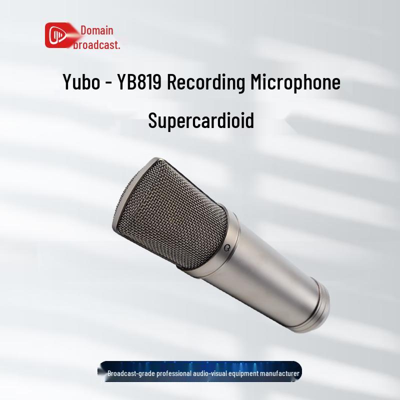 Weishiyu YB819 Recording Microphone
