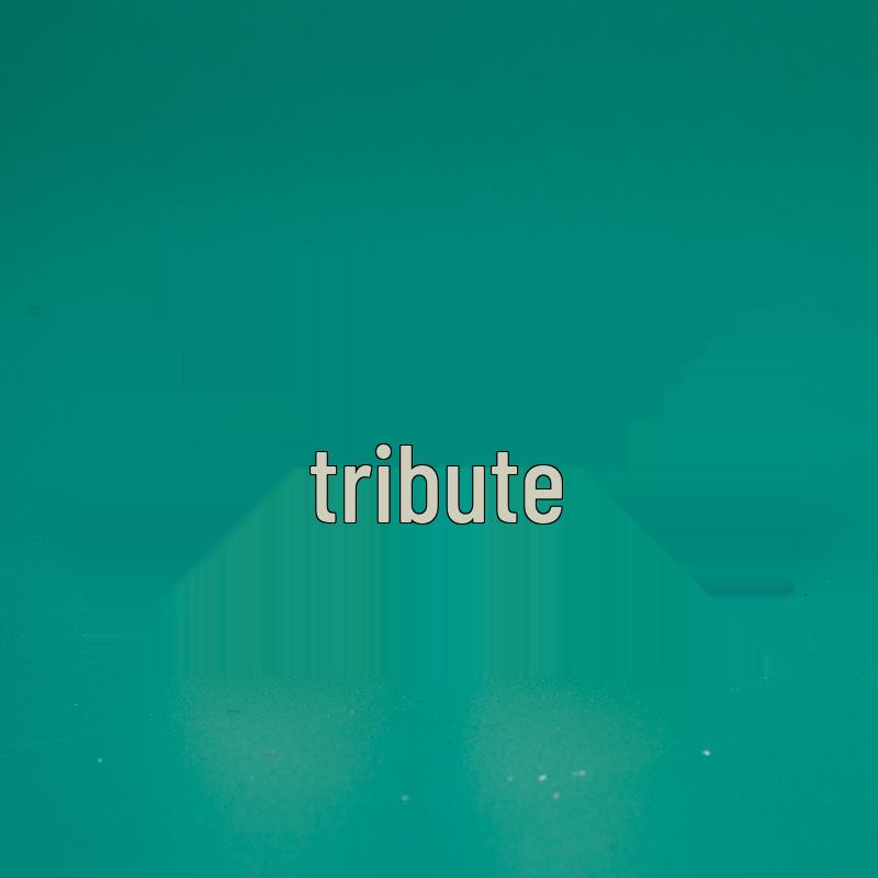 Handmade Exquisite Lotus Lion Root Carving Bracelet Kit with Lucky Charm Bag