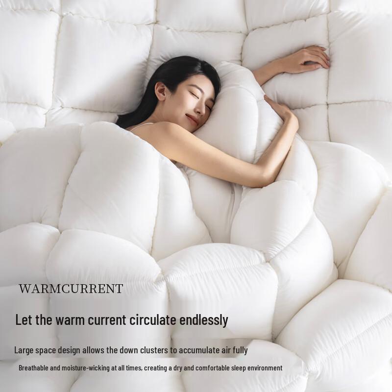Nanjiren 100% White Goose Feather Fiber Winter Comforter