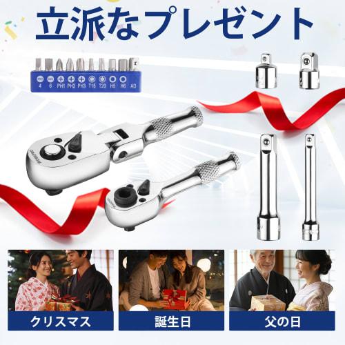 WORKPRO Bit Ratchet Wrench Set, 16-Piece Set with Swivel Socket Wrench, Ratchet Handle, Double-Ended Ratchet Wrench, 6.35mm and 9.5mm Drives, Bicycle,