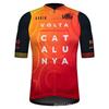 GOBIK Team Edition Rennrad-Trikot Herren Kurzarm Atmungsaktiv Schnelltrocknend