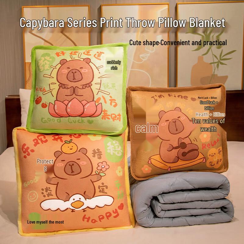 2-in-1 Convertible Pillow Blanket