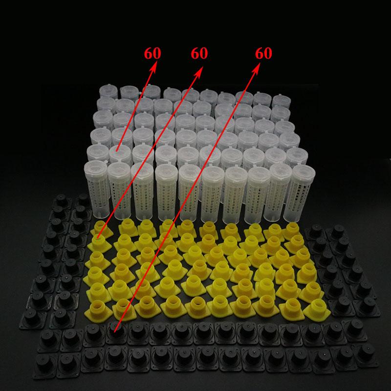 60PCS Professional Beekeeping Queen Cage Rearing Quality Protective Cover Catcher Plastic Bees Box Bees Tool Supplies Wholesale