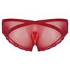 Mens See Through Mesh Crotchless Briefs Low Rise Lace Trim Underpants Cross Dresser Sissy Underwear