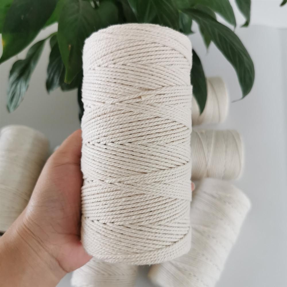 2mm Colored DIY Decorative Twisted Macrame Cotton Twine/thread/cord 200m