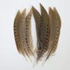 5X Pheasant Tail Feathers Decor Natural Feather Opera Plume Feathers Hat Craft