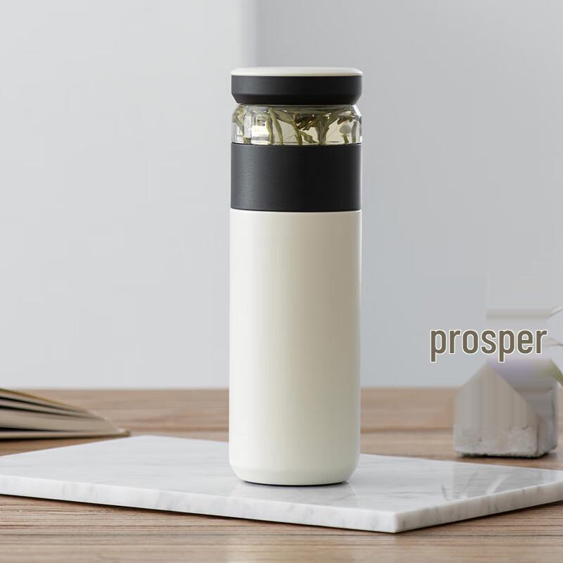 TLAKEHO Tea Infuser Thermos Bottle
