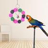 Bird Bites Parrot Climb Chew Color Kick Volleyball Toys Bell Swing Cage Hanging