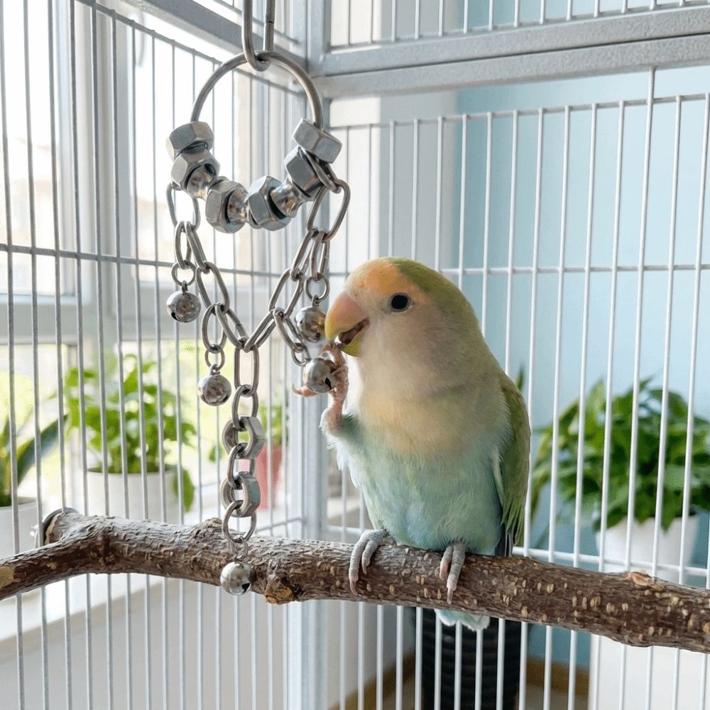 Wear-resistant Metal Bird Chain Bells Toys Bite Resistant Bird Cage Hanging Toy  Small Medium Birds