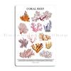 SEASHELLS SEA CREATURES SHARKS Poster with Names Metal Sign Cinema Decoration Pub Plaques Tin Sign Poster