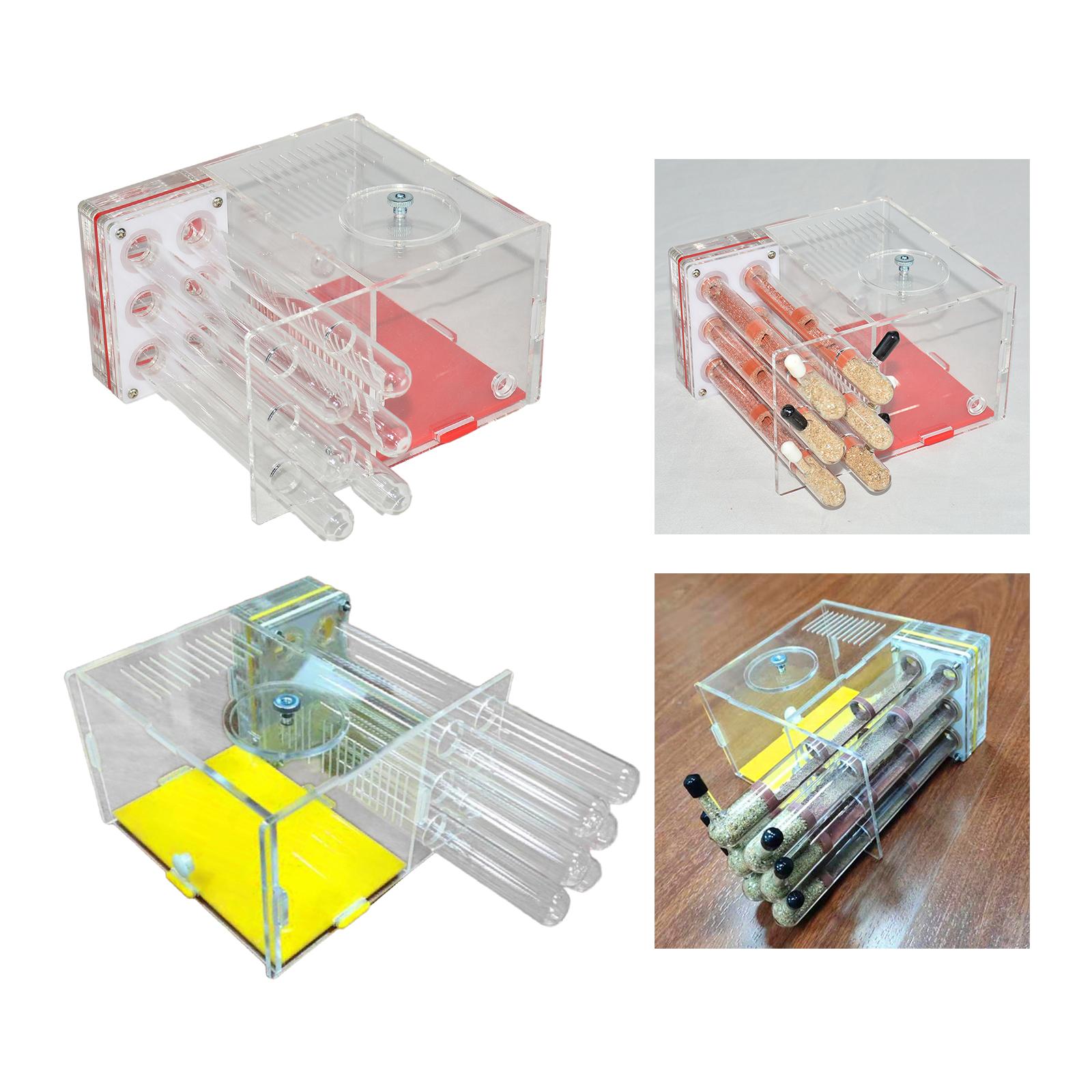 

ANT Housing Nest Compact Acrylic Farm Villa for Childrens Day Lovers Home 1.5cm