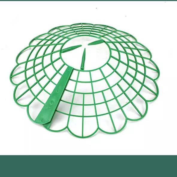 Strawberry Plant Supports with 3 Sturdy Legs Strawberry Growing Racks Protector Frame Holder Cage From Mold Rot Dirt
